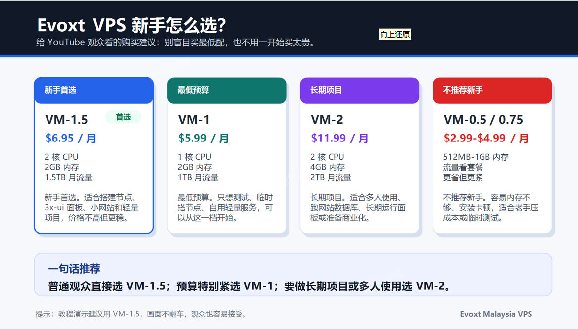 Evoxt VPS 新手套餐选择推荐图