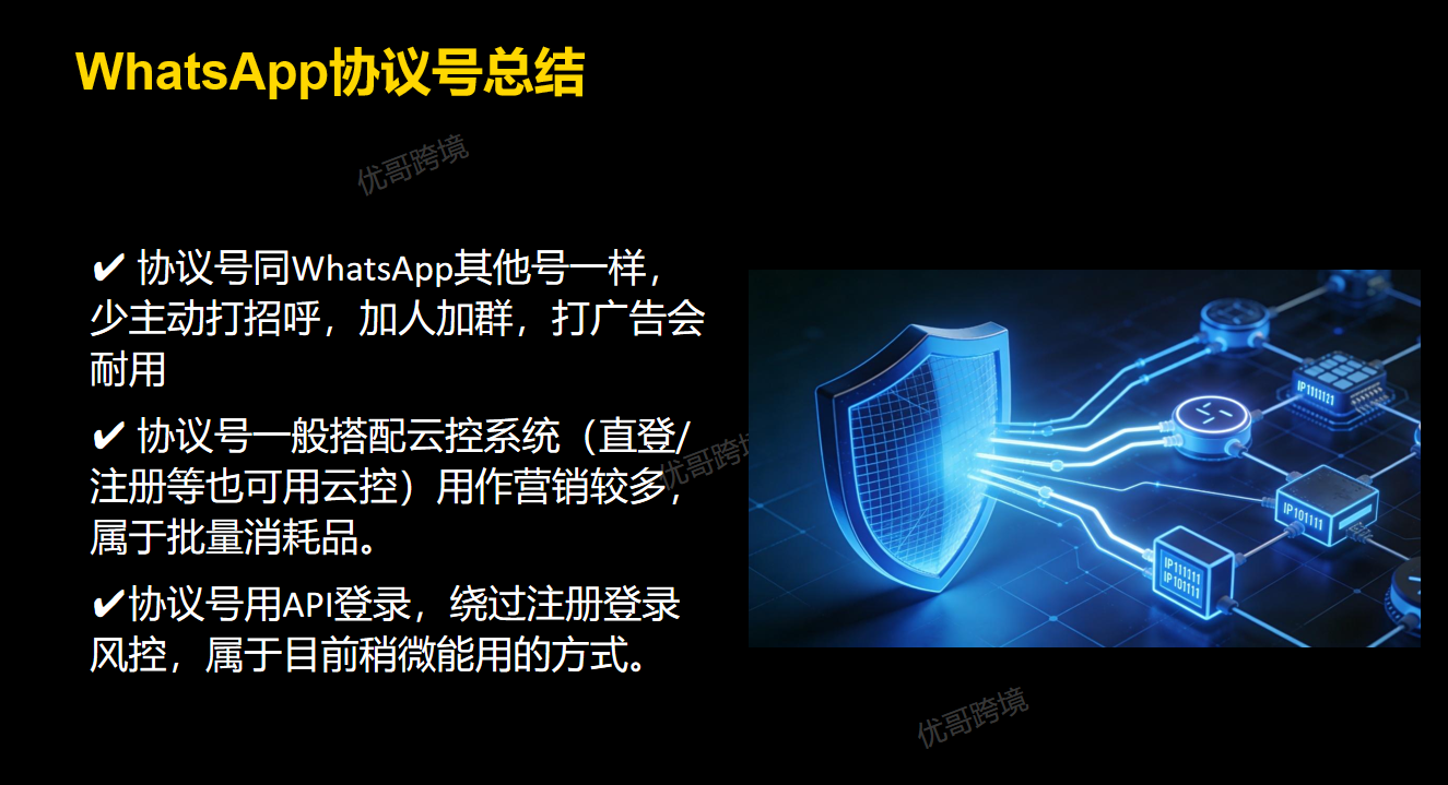 WhatsApp 注册收不到验证码怎么办？协议号、直登号、云控使用教程，新手一次看懂